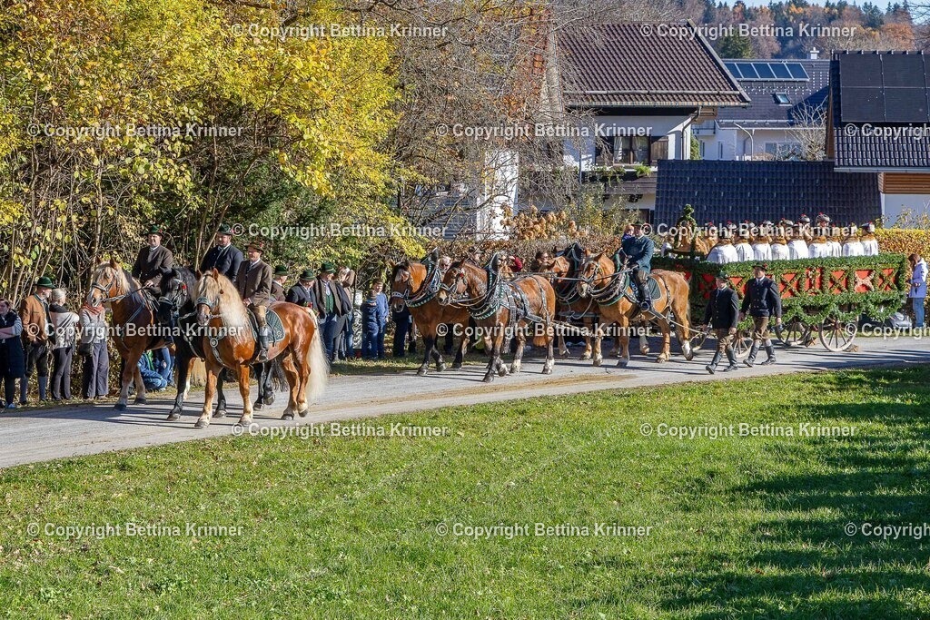 LBT25-763 | foto-bettina-krinner - Realisiert mit Pictrs.com