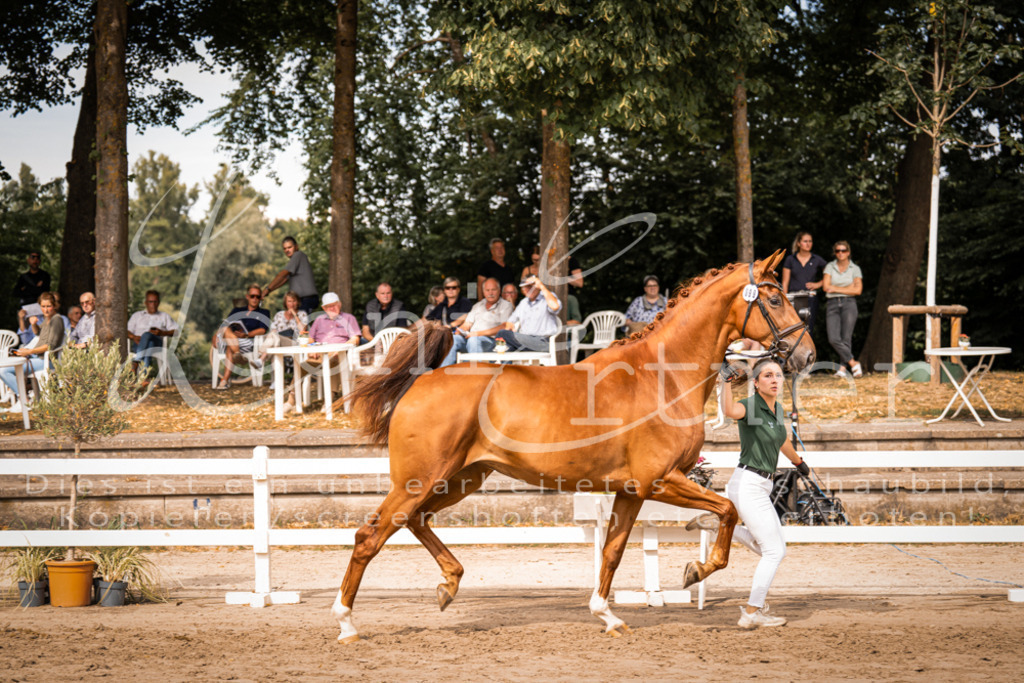 7.Fr00062 | Leoni Ertmer Photography - Realisiert mit Pictrs.com