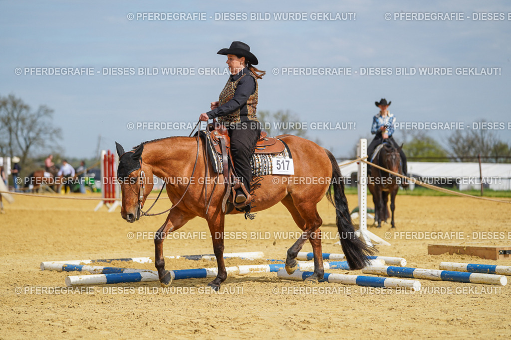 DSC04080 | Pferdegrafie