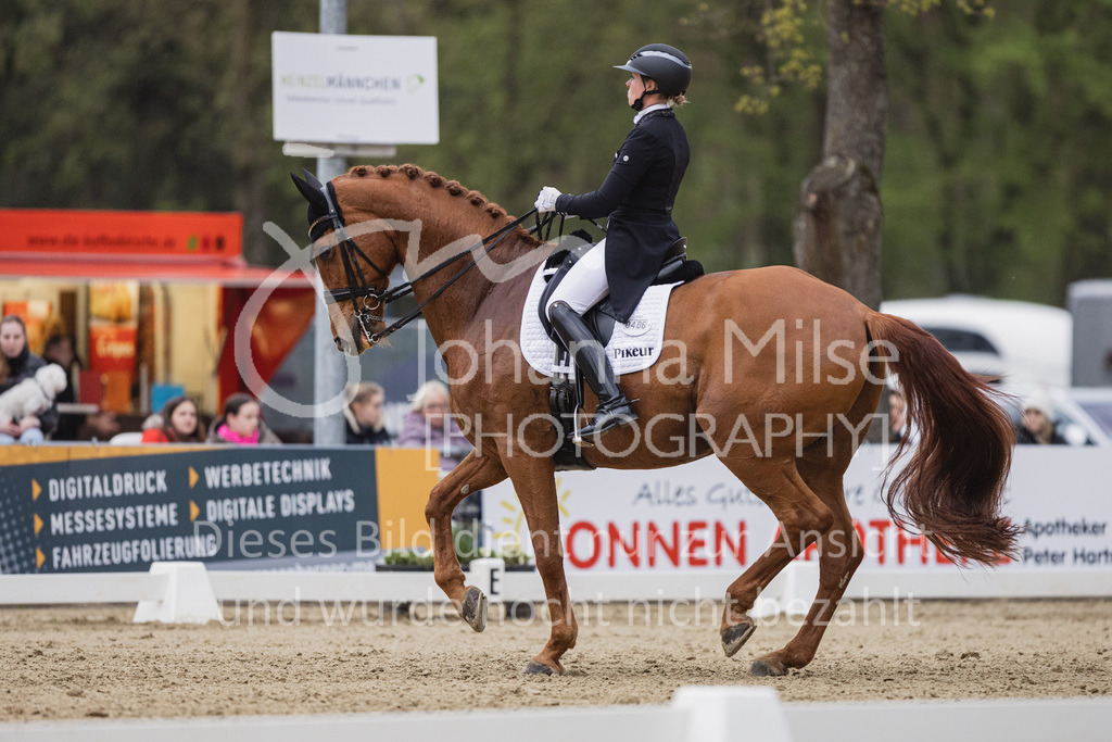 230429_Dressurfestival_S3St-260 | Deine schönsten Turniermomente als professionelle Fotos! Entdecke hochwertige Pferdesport-Fotografie im Online-Shop. Jetzt Fotos finden & bestellen!