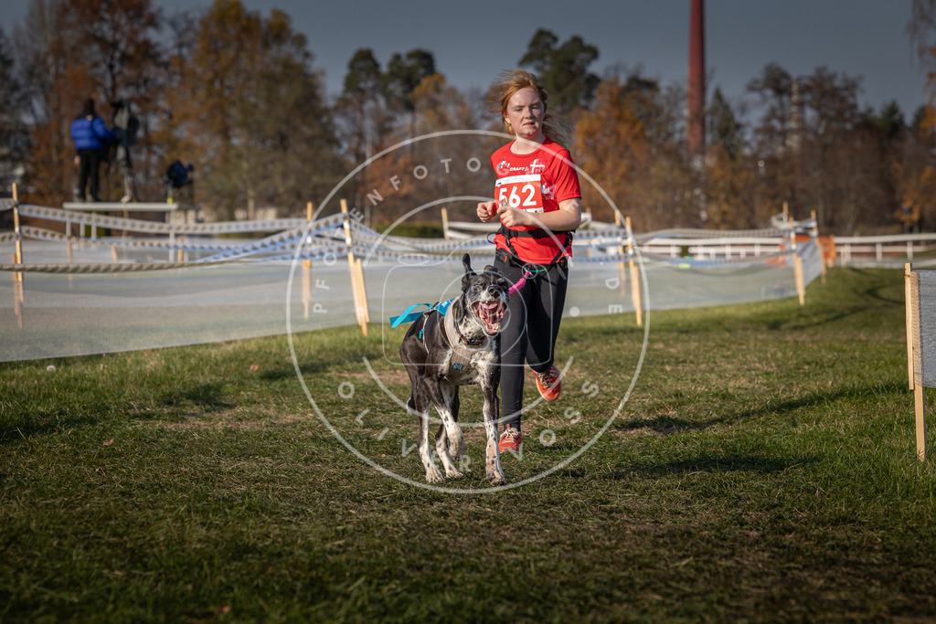 CaniXpix_0L8A9435 | Hundefotografie, Tierfotograf, Pfotenfotografie, Fotoshooting Hund, Hunde Portrait, Hundesport, Hundeportraits, Heideshooting, Hunde, Sportfotograf, Hundefotograf, Turnierhundsport, THS,  - Realisiert mit Pictrs.com