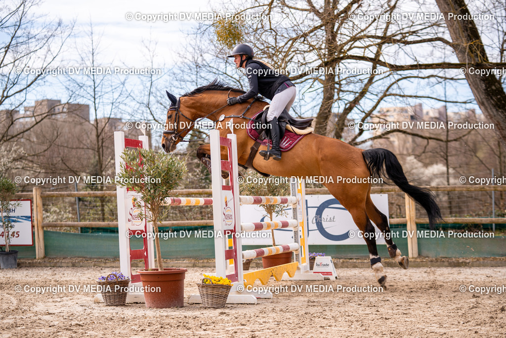 Kranichstein Tag 2-609 | dv-media-shop - Realisiert mit Pictrs.com