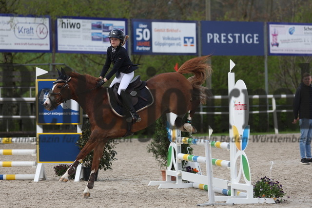 Birkhof_2023_Prüfung_Nr.08_Stilspring-WB_Valentina Walliser_Miss Marple (4) | Alle Fotos der Reiterjournal Fotografin Doris Matthaes im Reiterjournal Online-Fotoshop. - Realisiert mit Pictrs.com