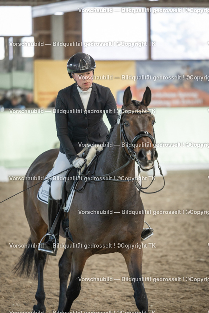 _D5A3101 | Emotionale Pferde- & People-Fotografie rund um Heidelberg, Leimen & Umgebung. Natürliche Fotos von Pferd, Mensch & Familie. Jetzt Termin sichern!