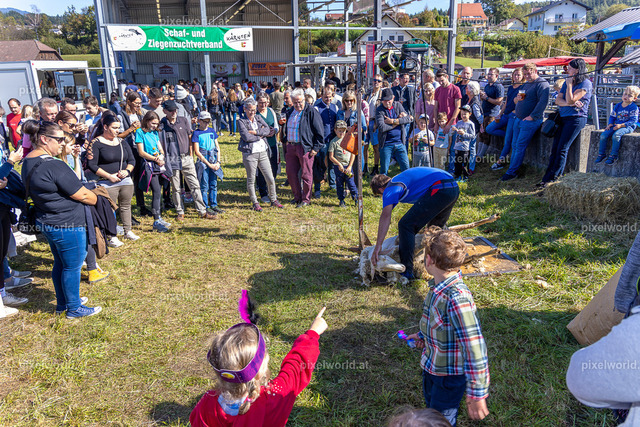 SchaZie Tag | Bildershop von pixelworld.at - Realisiert mit Pictrs.com