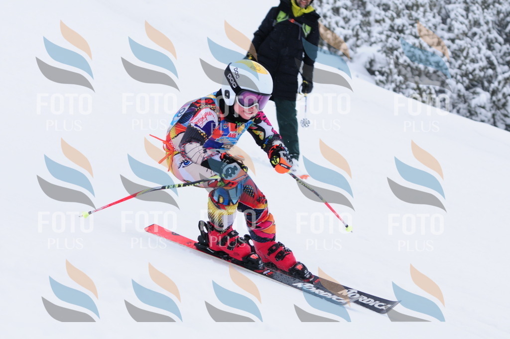 C3391 | holidayphoto