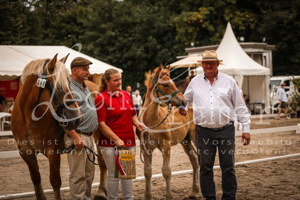 SaHF00113 | Leoni Ertmer Photography - Realisiert mit Pictrs.com