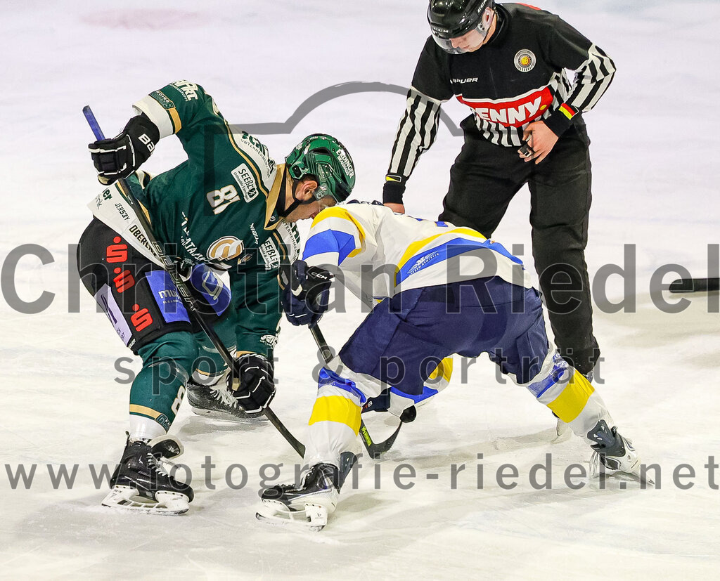 2026-01-09_059_TSV_Erding_gegen_Stuttgart_Rebels | Erding, Deutschland, 09.01.2026:Eishockey, Oberliga Süd 2025 / 2026, 35. Spieltag, TSV Erding gegen Stuttgart Rebels, Endergebnis: Maximilian Forster (Erding Gladiators, #81), Reagan Poncelet (Stuttgart Rebels, #71)Foto: Christian Riedel / fotografie-riedel.net