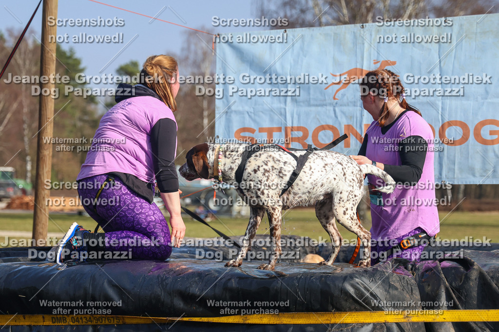 Dog Paparazzi - Strongdog North Mrz26-2675 | Dog Paparazzi Jeanette Grottendiek Fotografie & Videografie - Realisiert mit Pictrs.com
