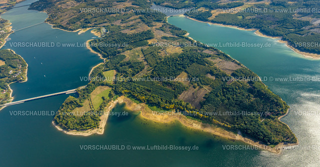 Moehnesee220904146Moehnesee | Luftbild Möhnesee Südufer mit Friedwald und Baumschäden, Friedhof, Dürre im Wald, Stausee, Borkenkäferbefall, Baumbestattung, Möhnesee, Nordrhein-Westfalen, Deutschland, 