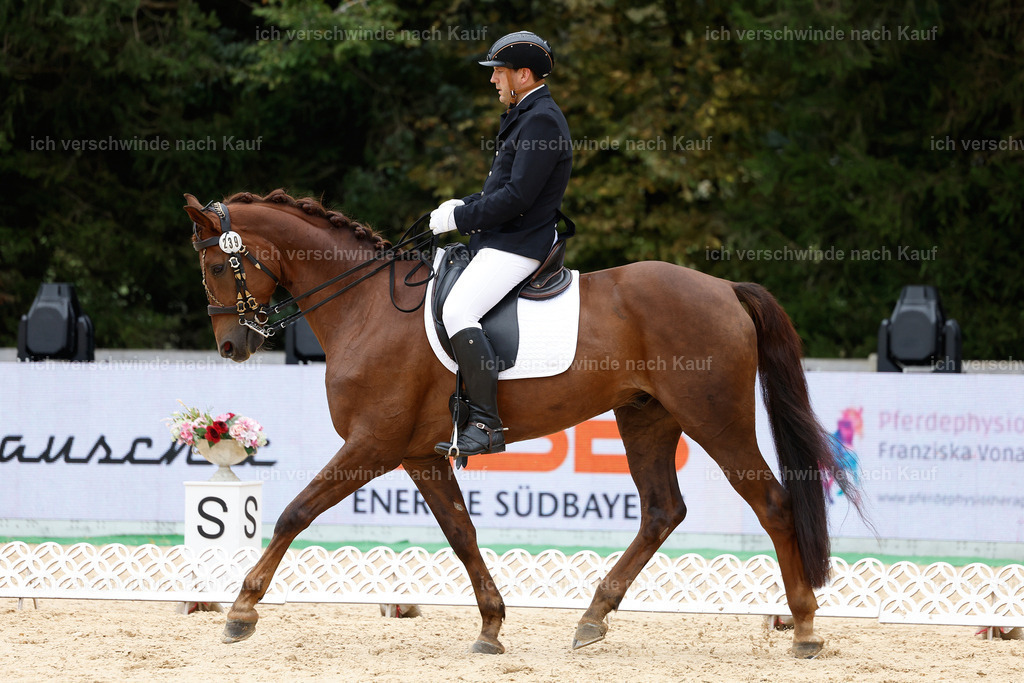 3-239-Dressur M_-StoibPH-2395 | working equitationturnier fotograf videograf stoibphotography marixx film working equitation deutschland reitsport turnierfotografie eventfotografie equestrian events