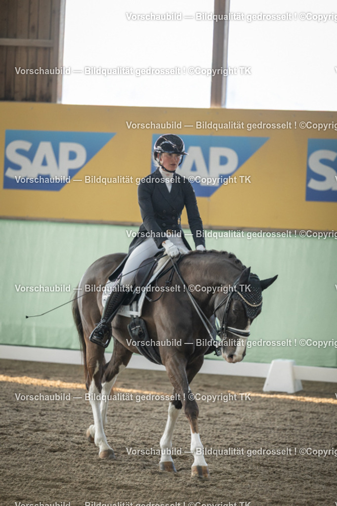 _D5A7854 | Emotionale Pferde- & People-Fotografie rund um Heidelberg, Leimen & Umgebung. Natürliche Fotos von Pferd, Mensch & Familie. Jetzt Termin sichern!