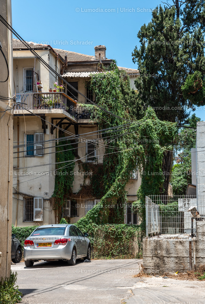 10972-10161 - Tel Aviv - Rothschild Boulevard | Stockfoto und Bilderpool mit Bildmaterial aus Deutschland, dem Harz, Halberstadt, Quedlinburg, Wernigerode und weltweit. Qualitativ hochwertige und professionelle Fotos anschauen und kaufen. - Realisiert mit Pictrs.com