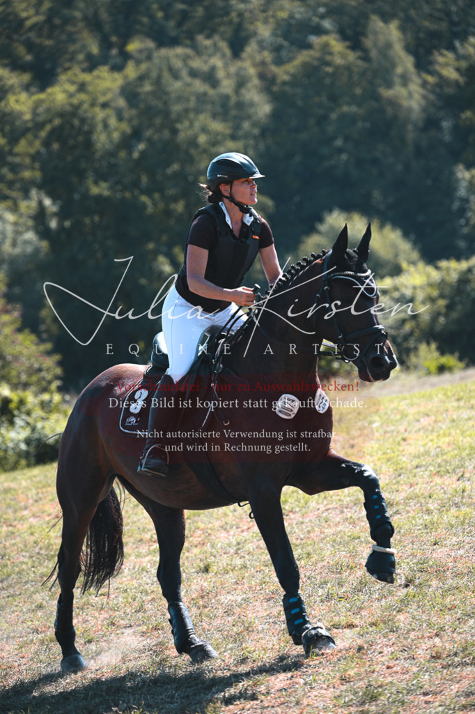 DSC_8237 | Pferde- und Turnierfotografie in Westsachsen. Pferdeportraits, Auftragszeichnungen und intuitive Kunst.