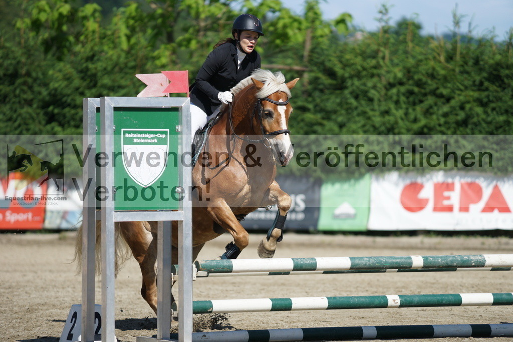 DSC06141 | equestrian-live-com