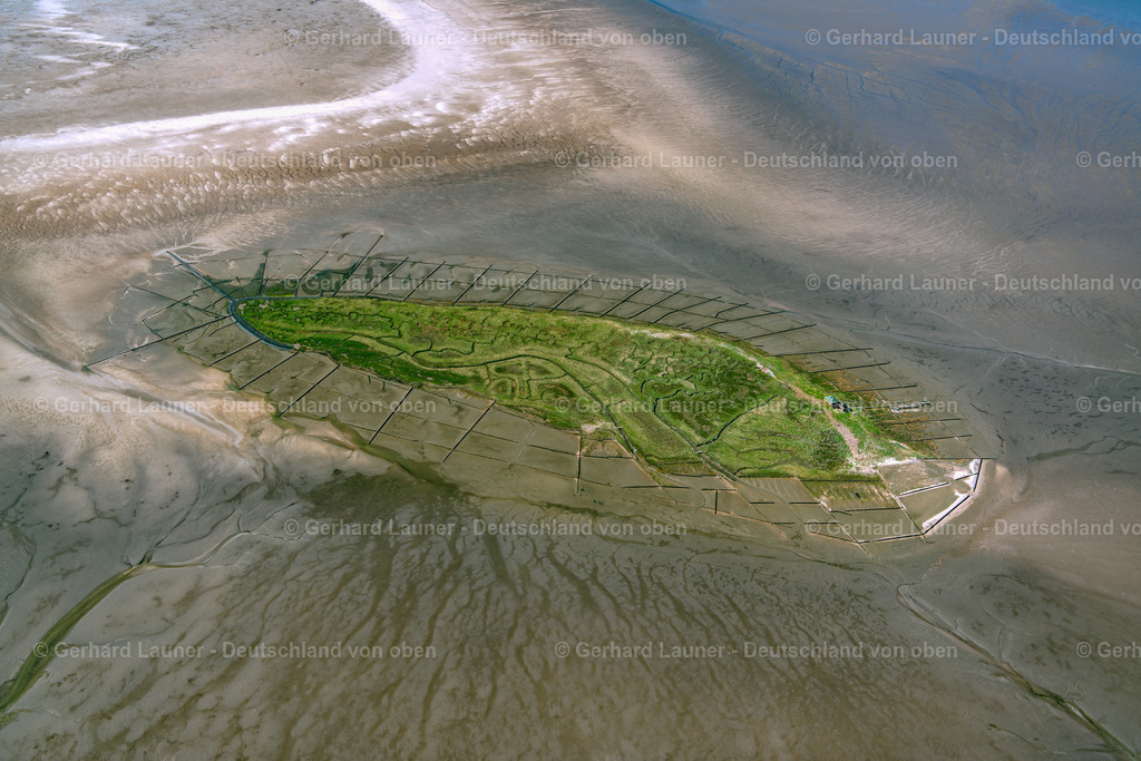 3801915 | Vogelfreistätte Hallig Norderoog, Nationalpark Schleswig-Holsteinisches Wattenmeer
