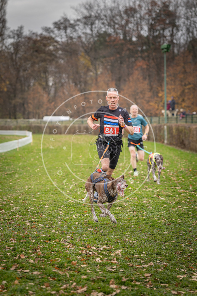 CaniXpix_DV3A6685 | Hundefotografie, Tierfotograf, Pfotenfotografie, Fotoshooting Hund, Hunde Portrait, Hundesport, Hundeportraits, Heideshooting, Hunde, Sportfotograf, Hundefotograf, Turnierhundsport, THS,  - Realisiert mit Pictrs.com