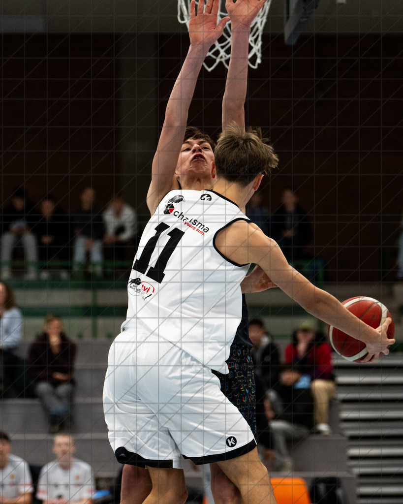 JBBL 24/25 | 23.11.2024 | Charisma Young Bulls vs. UBC Münster  | JBBL 24/25 | 23.11.2024 | Charisma Young Bulls vs. UBC Münster - - - - - CREDIT, www.bullenfotos.de, Martin König, Hörner Weg 40, D-49078 Osnabrück, +4917663732967, Nutzung und Weitergabe nur zu den vereinbarten Zwecken. Presseanfragen an Urheber. Alle Rechte beim Urheber. - - - - - - Realisiert mit Pictrs.com