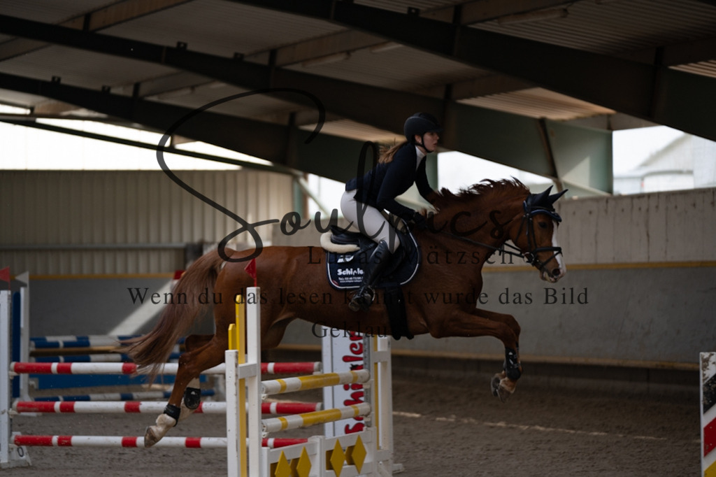 A7V08394 | Pferdefotograf