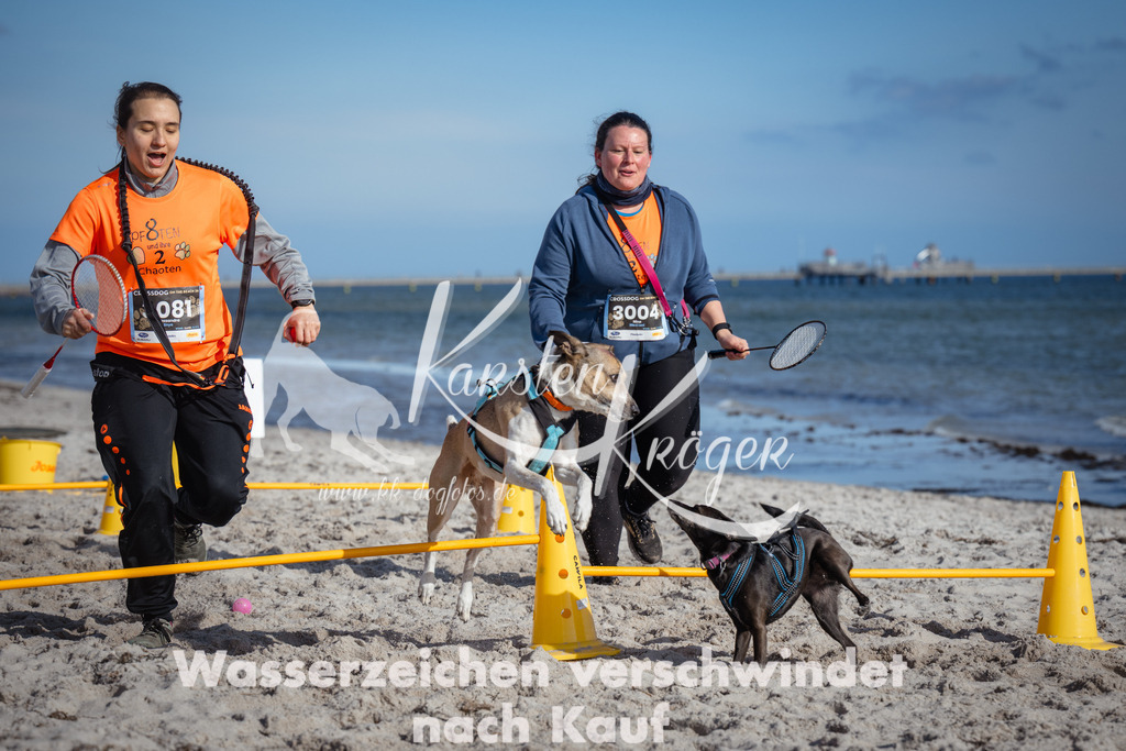 1340_ZZ92757 | kk-dogfotos