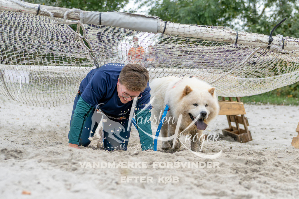 1537_ZZ95924 | kk-dogfotos