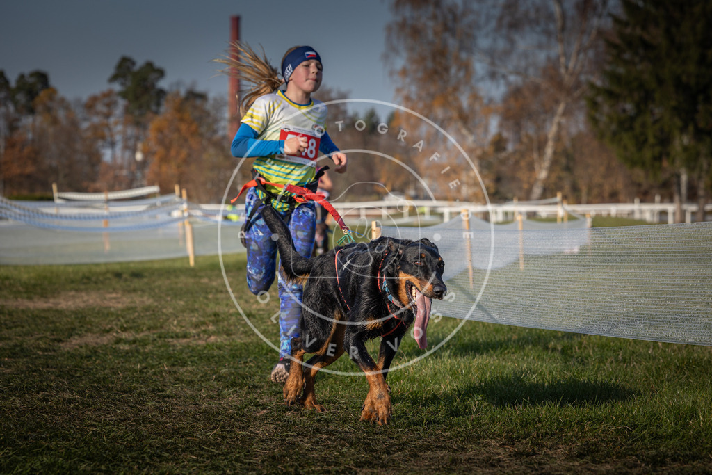 CaniXpix_0L8A9262 | Hundefotografie, Tierfotograf, Pfotenfotografie, Fotoshooting Hund, Hunde Portrait, Hundesport, Hundeportraits, Heideshooting, Hunde, Sportfotograf, Hundefotograf, Turnierhundsport, THS,  - Realisiert mit Pictrs.com