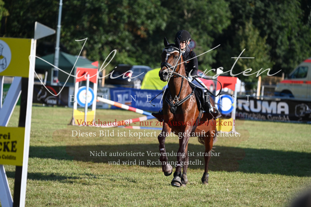 DSC_4756 | Pferde- und Turnierfotografie in Westsachsen. Pferdeportraits, Auftragszeichnungen und intuitive Kunst.