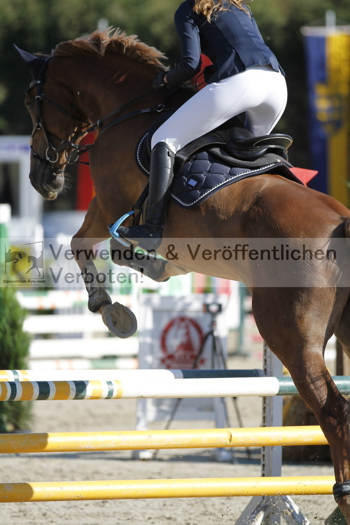 _MG_3778 | equestrian-live-com