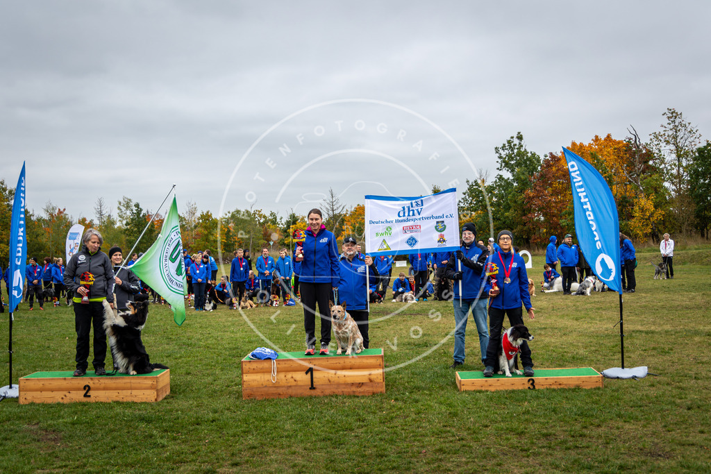 Pfotenfotografie_0L8A0557 | Hundefotografie, Tierfotograf, Pfotenfotografie, Fotoshooting Hund, Hunde Portrait, Hundesport, Hundeportraits, Heideshooting, Hunde, Sportfotograf, Hundefotograf, Turnierhundsport, THS,  - Realisiert mit Pictrs.com