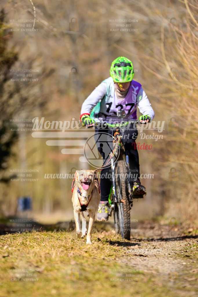 MompixPhotography_Schwabentrail2025_SO_Bike-124 | PayLife