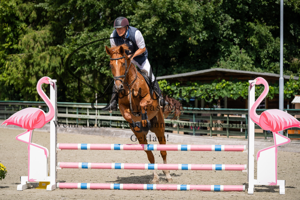 A7V07390 | Turnier/Reitfotograf