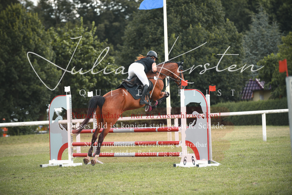 DSC_6700 | Pferde- und Turnierfotografie in Westsachsen. Pferdeportraits, Auftragszeichnungen und intuitive Kunst.