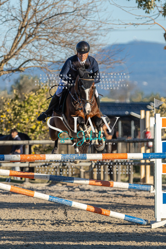 IMG_2357-2 | s-jay-photography - Realisiert mit Pictrs.com