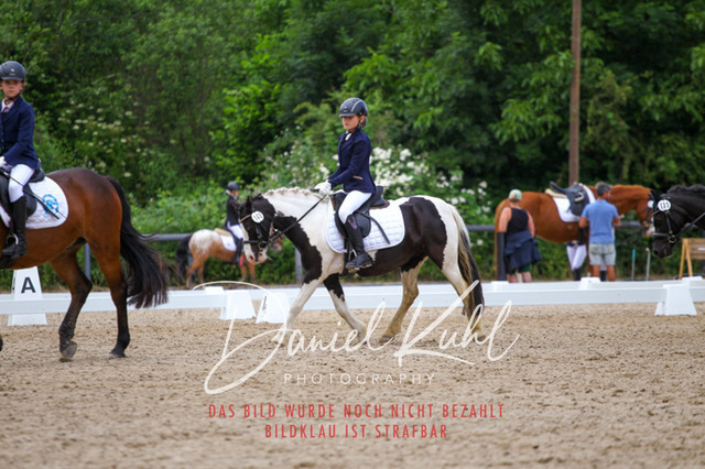 DKP46268 | Turnierfotos kaufen im Webshop von Daniel Kuhl Photography – entdecke professionelle Reitsportfotos aus Turnieren & Events. Hochwertige Turnierbilder online bestellen & sichern. Jetzt Fotos von Reitsportturnieren kaufen!