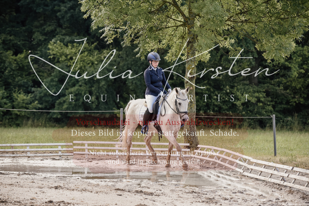 DSC_8042 | Pferde- und Turnierfotografie in Westsachsen. Pferdeportraits, Auftragszeichnungen und intuitive Kunst.