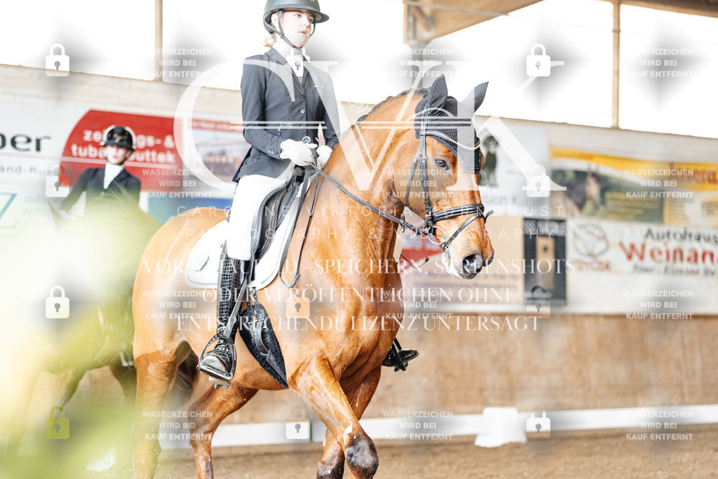 CK901049 | Turnierfotografie Pferdefotografie Trier Rheinland-Pfalz Pferdesport Reitsport Tierfotografie Sportfotografie Pferdevideo Pferdevideografie Equestrianvideography equestrianphotography  - Realisiert mit Pictrs.com