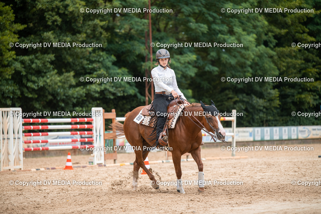 ZS2_8598 | dv-media-shop - Realisiert mit Pictrs.com