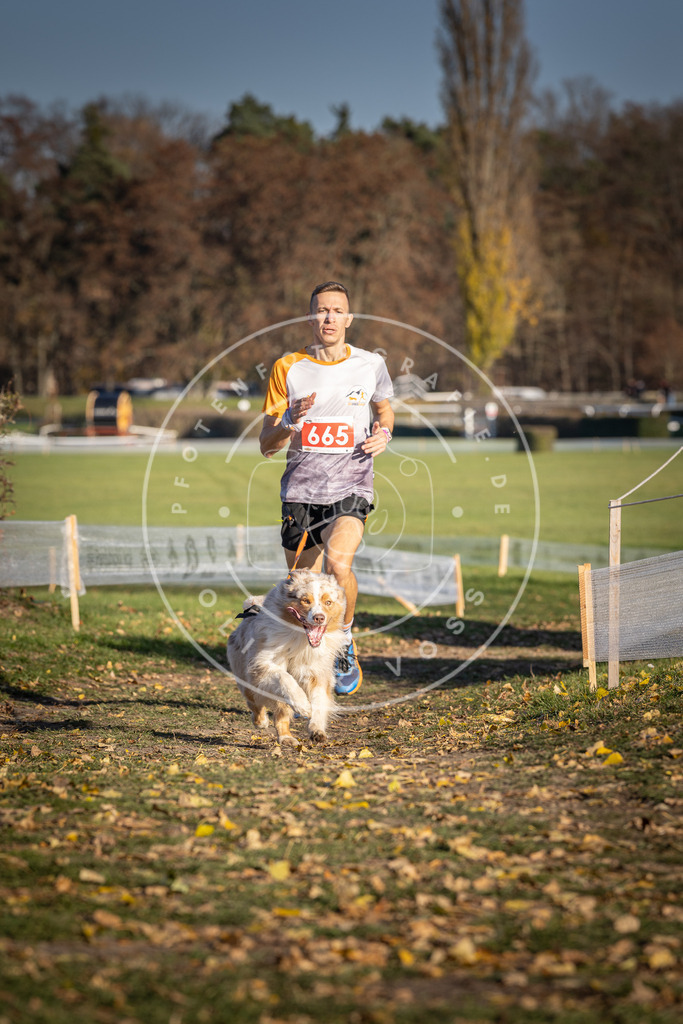 CaniXpix_DV3A0740 | Hundefotografie, Tierfotograf, Pfotenfotografie, Fotoshooting Hund, Hunde Portrait, Hundesport, Hundeportraits, Heideshooting, Hunde, Sportfotograf, Hundefotograf, Turnierhundsport, THS,  - Realisiert mit Pictrs.com