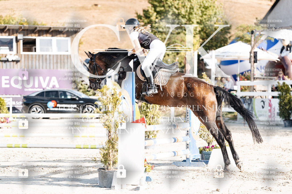 CK909511 | Turnierfotografie Pferdefotografie Trier Rheinland-Pfalz Pferdesport Reitsport Tierfotografie Sportfotografie Pferdevideo Pferdevideografie Equestrianvideography equestrianphotography  - Realisiert mit Pictrs.com