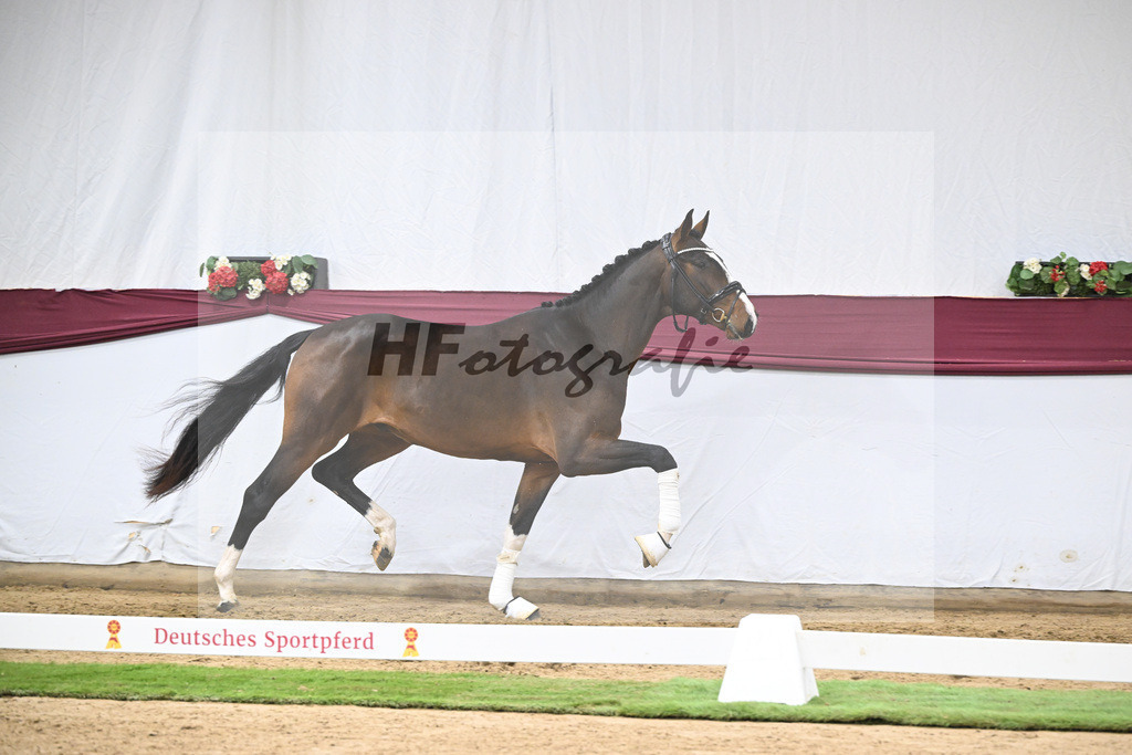 Kat-Nr. 124 Global Player x Floriscount_Christian Wittlinger_47254146 | hf-fotografie - Realisiert mit Pictrs.com