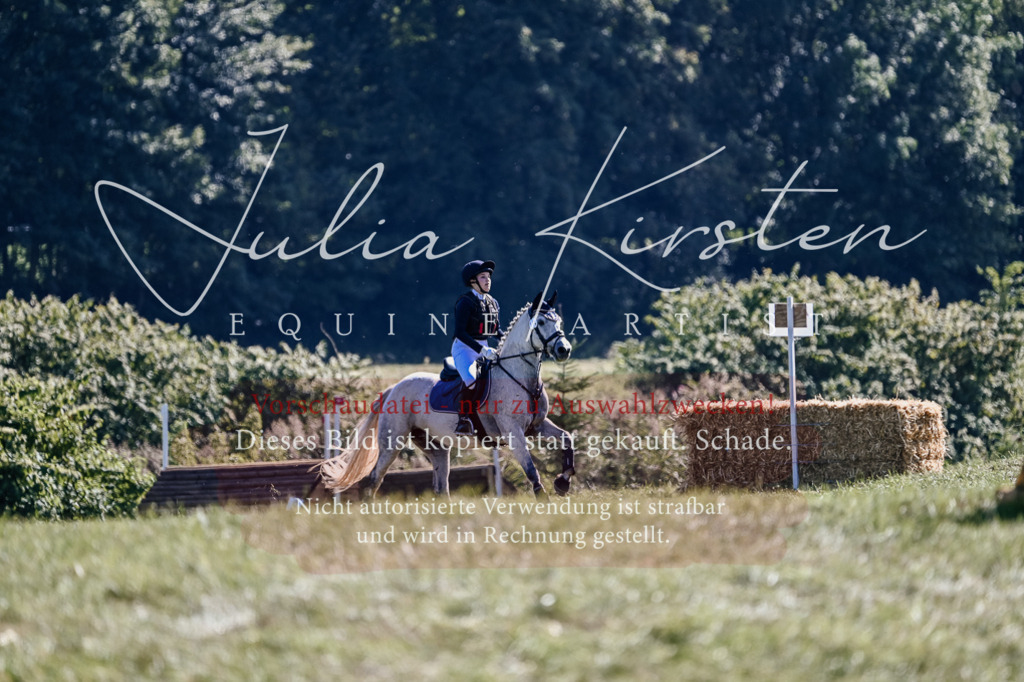 DSC_3184 | Pferde- und Turnierfotografie in Westsachsen. Pferdeportraits, Auftragszeichnungen und intuitive Kunst.