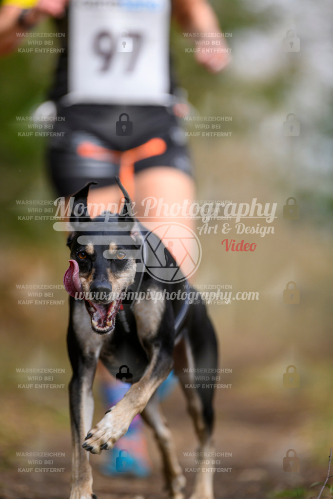 MompixPhotography_ReiatRennen2024_CC-50 | mompixphotography