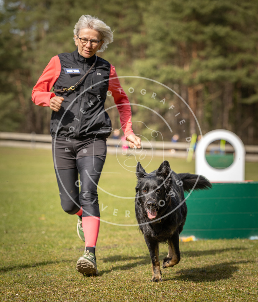 Pfotenfotografie_DV3A0199 | Hundefotografie, Tierfotograf, Pfotenfotografie, Fotoshooting Hund, Hunde Portrait, Hundesport, Hundeportraits, Heideshooting, Hunde, Sportfotograf, Hundefotograf, Turnierhundsport, THS,  - Realisiert mit Pictrs.com
