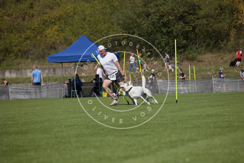 0L8A6223 | Hundefotografie, Tierfotograf, Pfotenfotografie, Fotoshooting Hund, Hunde Portrait, Hundesport, Hundeportraits, Heideshooting, Hunde, Sportfotograf, Hundefotograf, Turnierhundsport, THS,  - Realisiert mit Pictrs.com