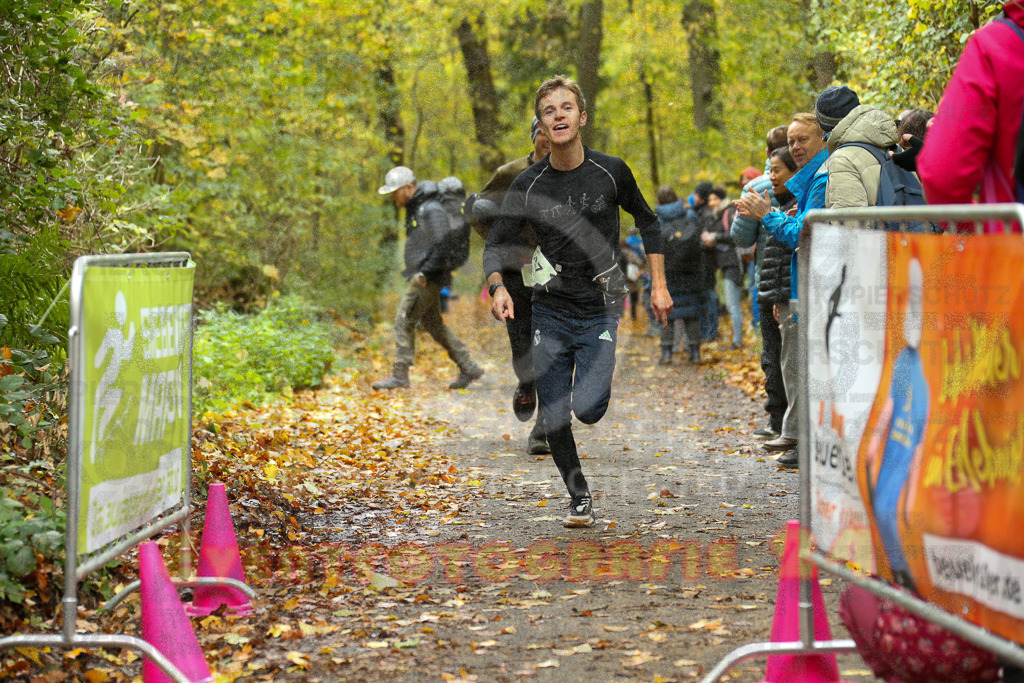 251026_1226_EX1_0378 | Sportfotografie im Rhein-Sieg Kreis, Köln, Bonn, NRW, Rheinland Pfalz, Hessen, etc. Unser Tätigkeitsfeld umfasst den Laufsport vom Volkslauf über den Marathon, Duathlon, Triathon bis zum Ultralauf wie Kölnpfad Ultra oder Schindertrail.
