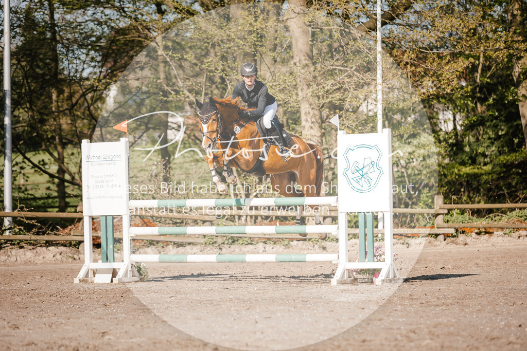 3I6A3617 | Stimmungsvolle Portraits und Reitsportfotografie im Ruhrgebiet und im Münsterland.

Pferdefotografie, Hundefotografie, Tierfotografie, Reportagen, Portraits von Tier und Mensch, Turnierfotografie in Bochum, Recklinghausen, Marl, Haltern am See, Dülmen.. - Realisiert mit Pictrs.com