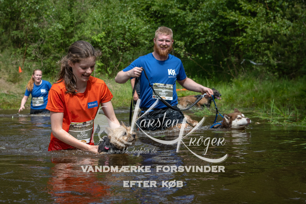 1122DKK990033 | kk-dogfotos