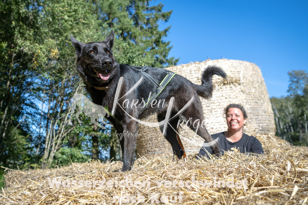 1207_ZZ90348-2 | kk-dogfotos