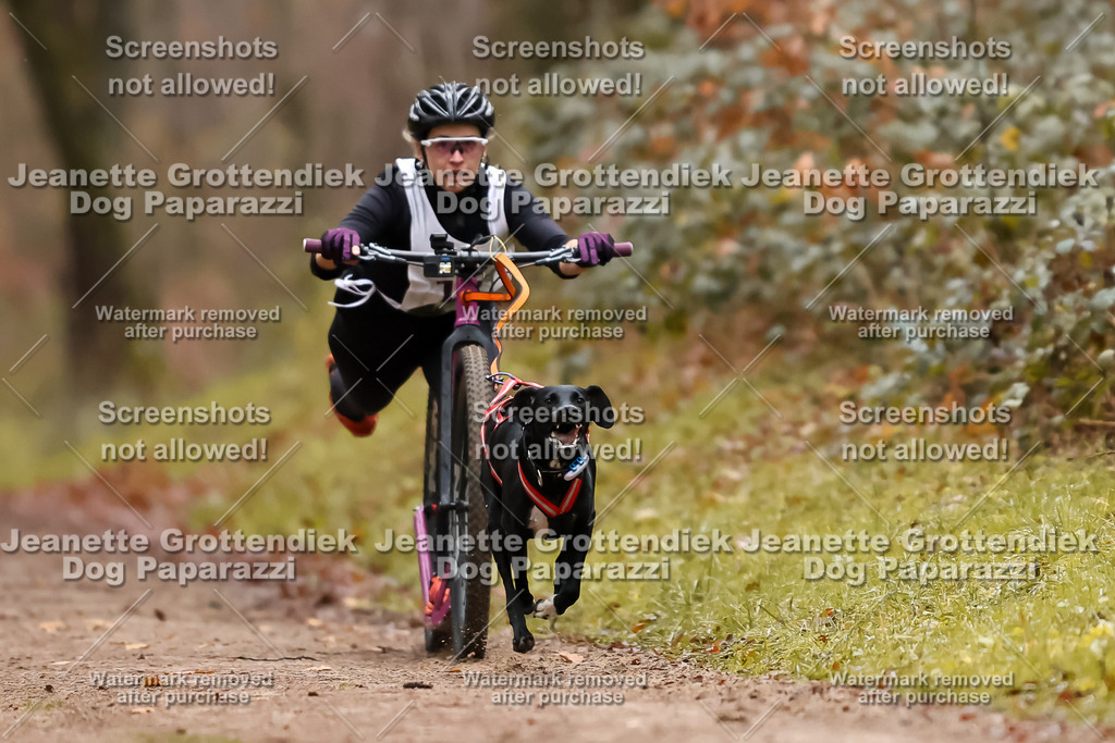 Dog Paparazzi - Speedhunter Mannheim  2025-43 | Dog Paparazzi Jeanette Grottendiek Fotografie & Videografie