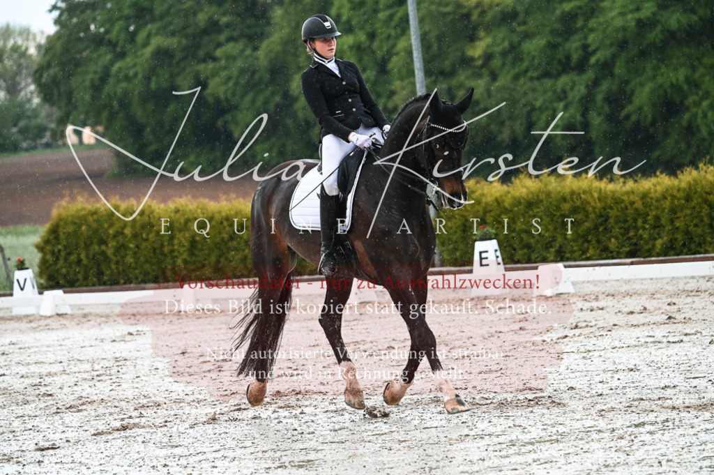 DSC_4322 | Pferde- und Turnierfotografie in Westsachsen. Pferdeportraits, Auftragszeichnungen und intuitive Kunst.